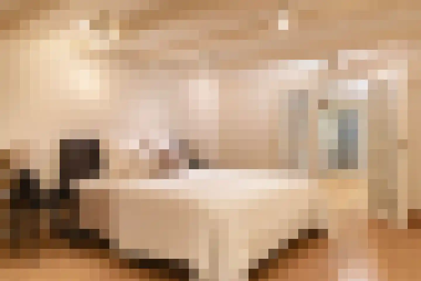 Herengracht 291 Amsterdam thumbnail 46