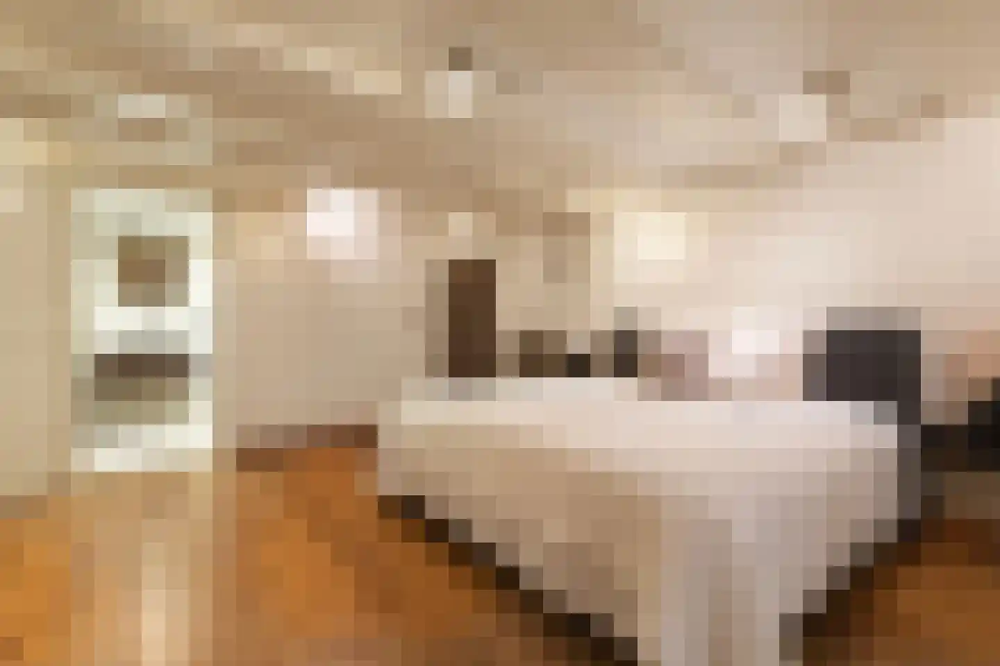 Herengracht 291 Amsterdam thumbnail 47