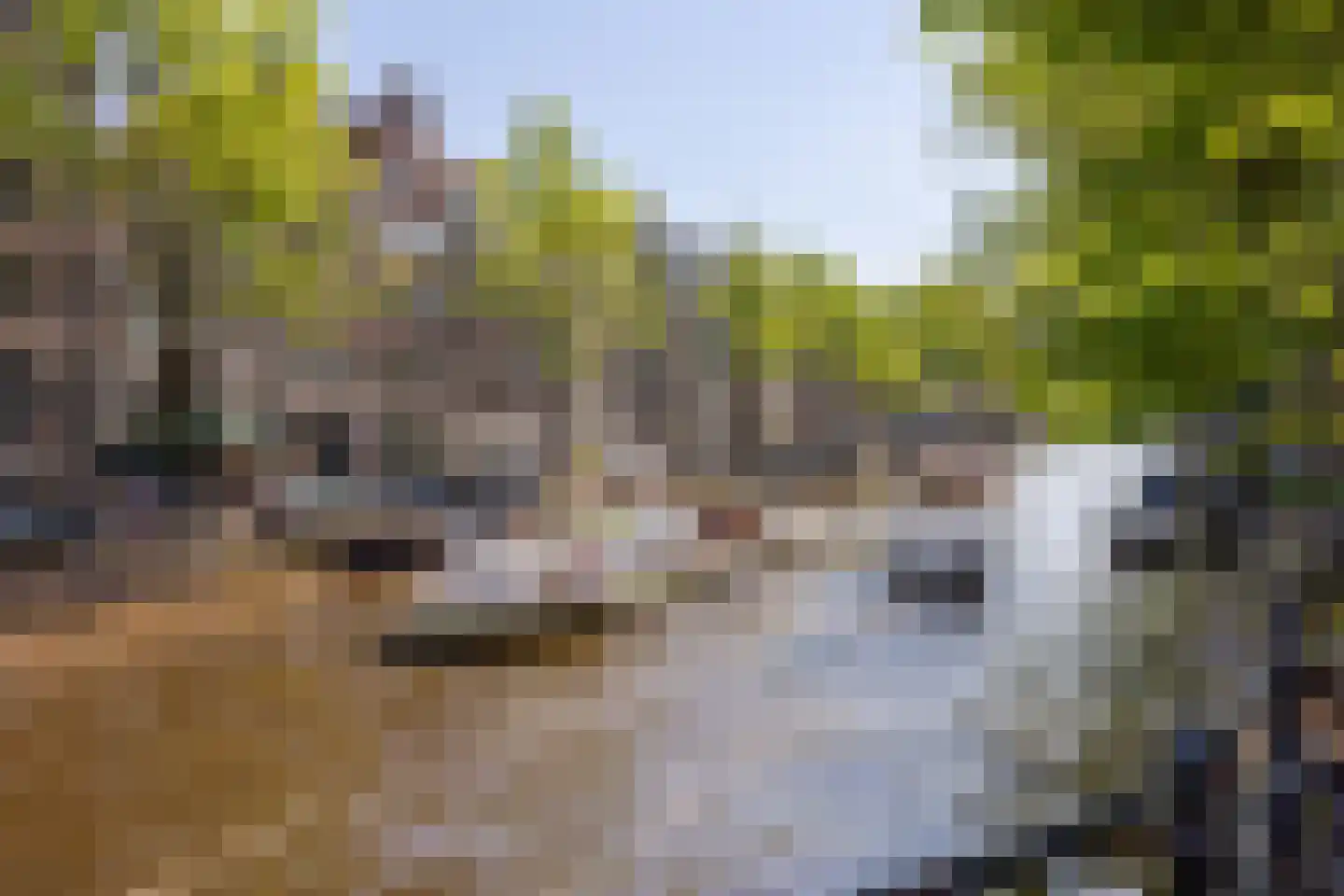 Herengracht 291 Amsterdam thumbnail 49