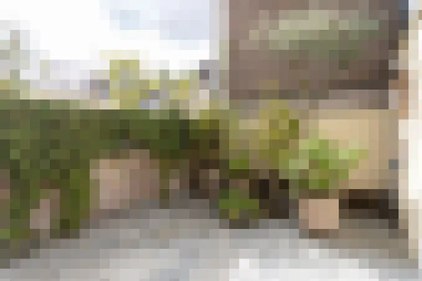Herengracht 291 Amsterdam thumbnail 52