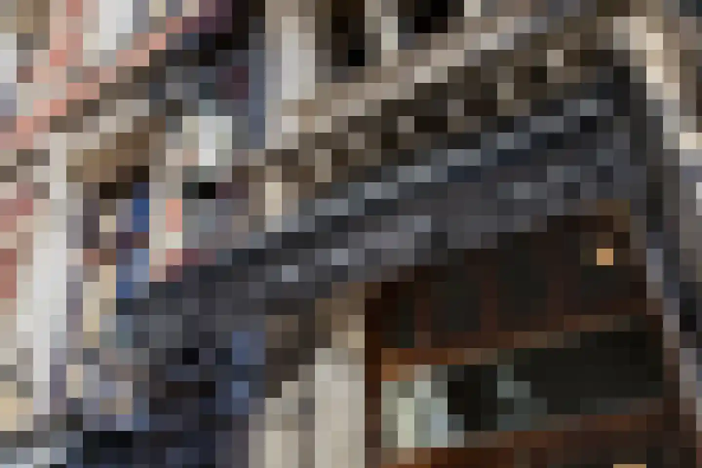 Herengracht 291 Amsterdam thumbnail 54