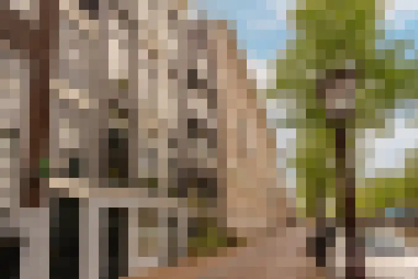 Herengracht 291 Amsterdam thumbnail 56