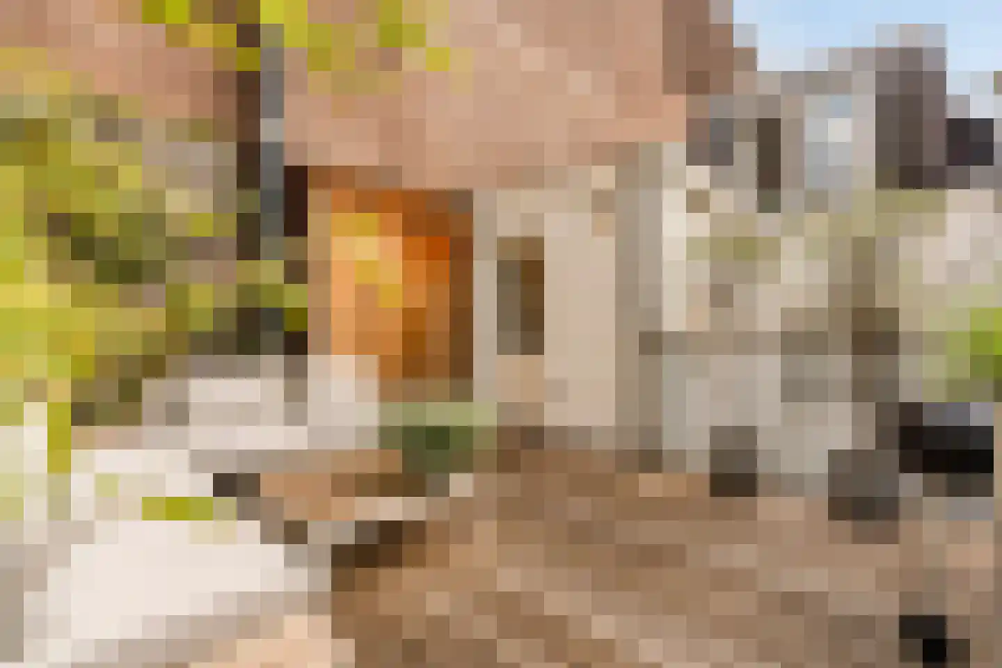 Herengracht 292 C Amsterdam thumbnail 17