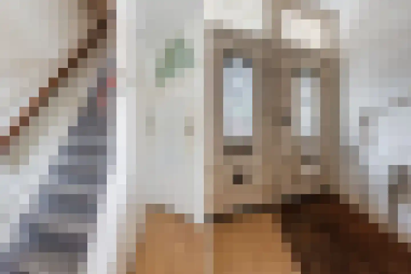 Herengracht 302 Amsterdam thumbnail 4