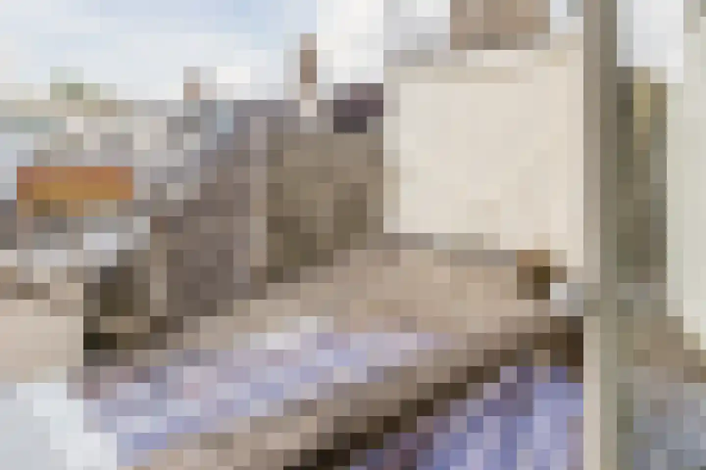 Herengracht 302 Amsterdam thumbnail 42