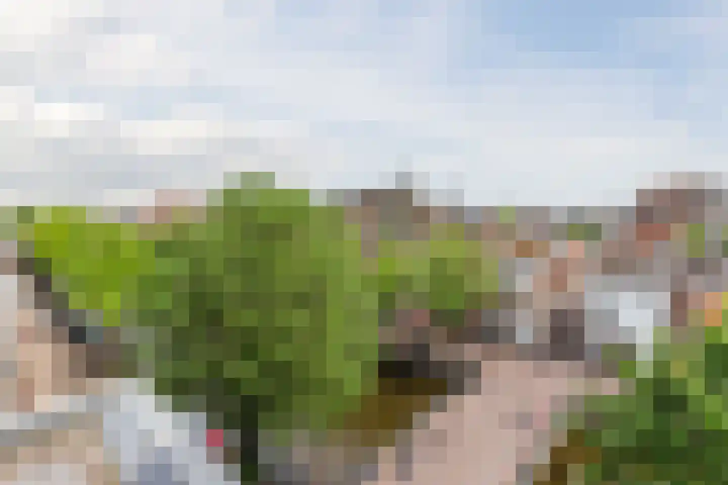 Herengracht 302 Amsterdam thumbnail 43