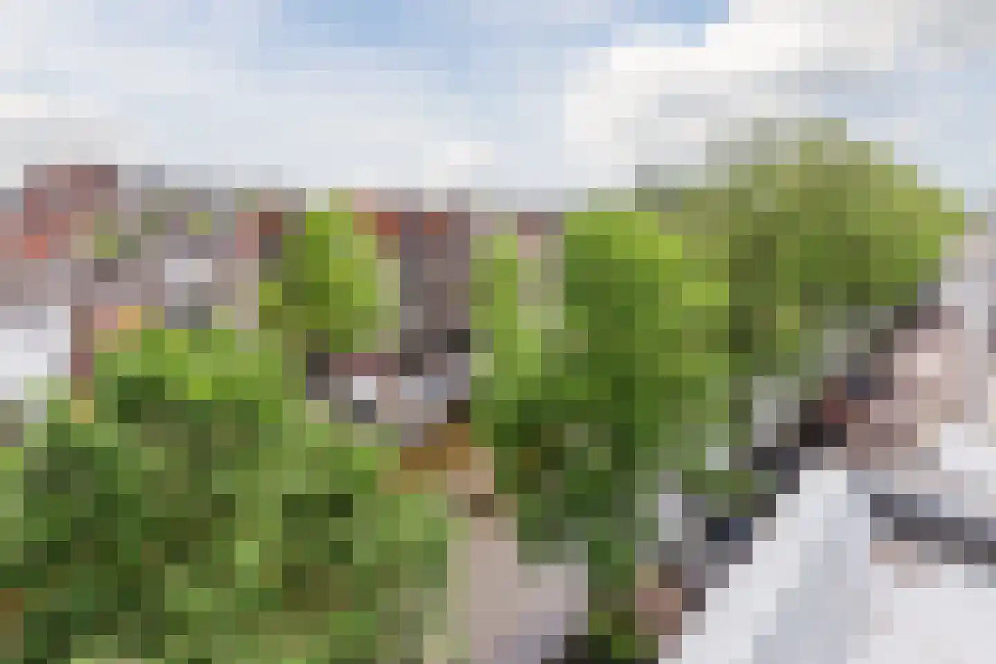 Herengracht 302 Amsterdam thumbnail 44