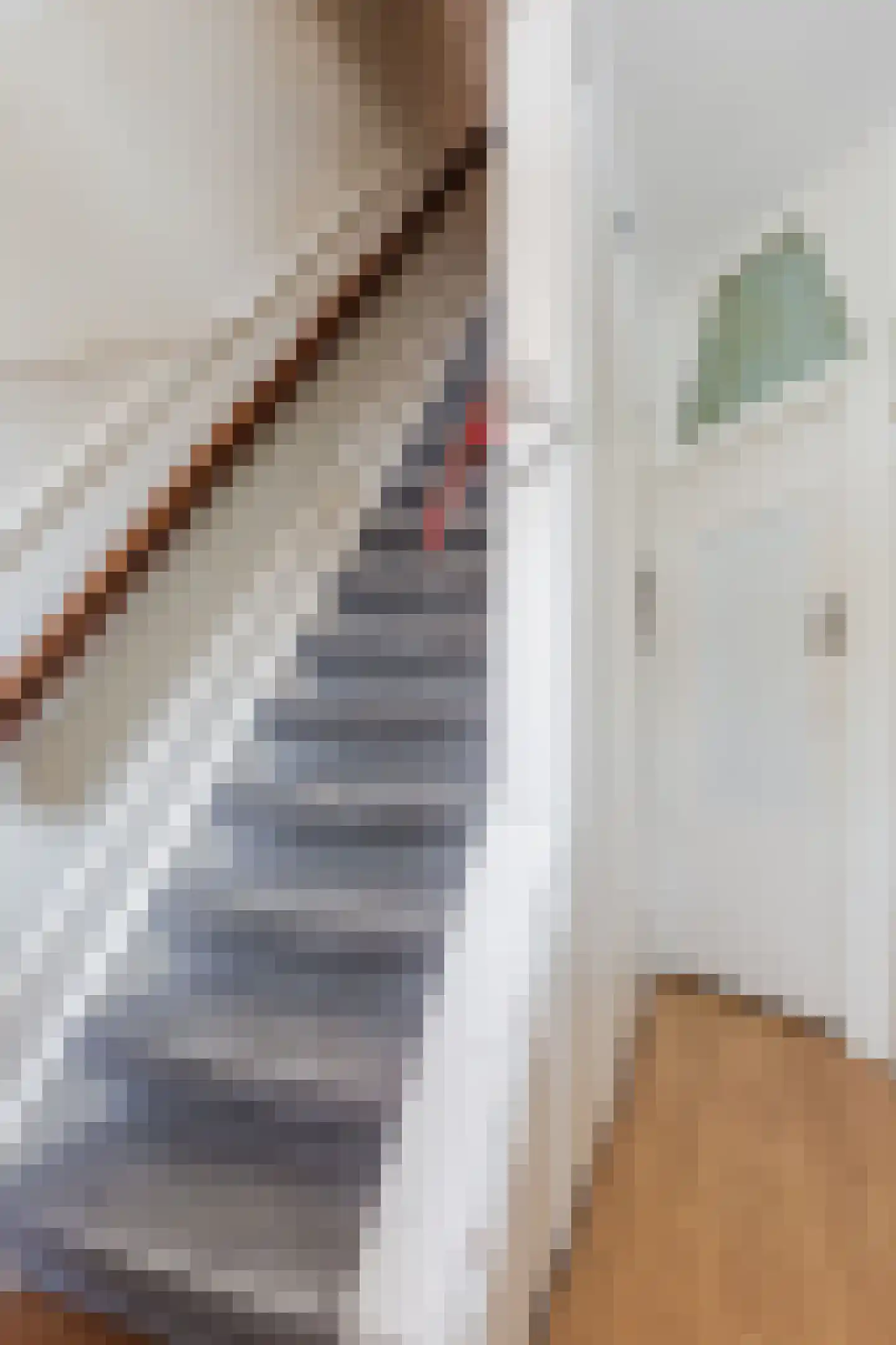 Herengracht 302 Amsterdam thumbnail 7
