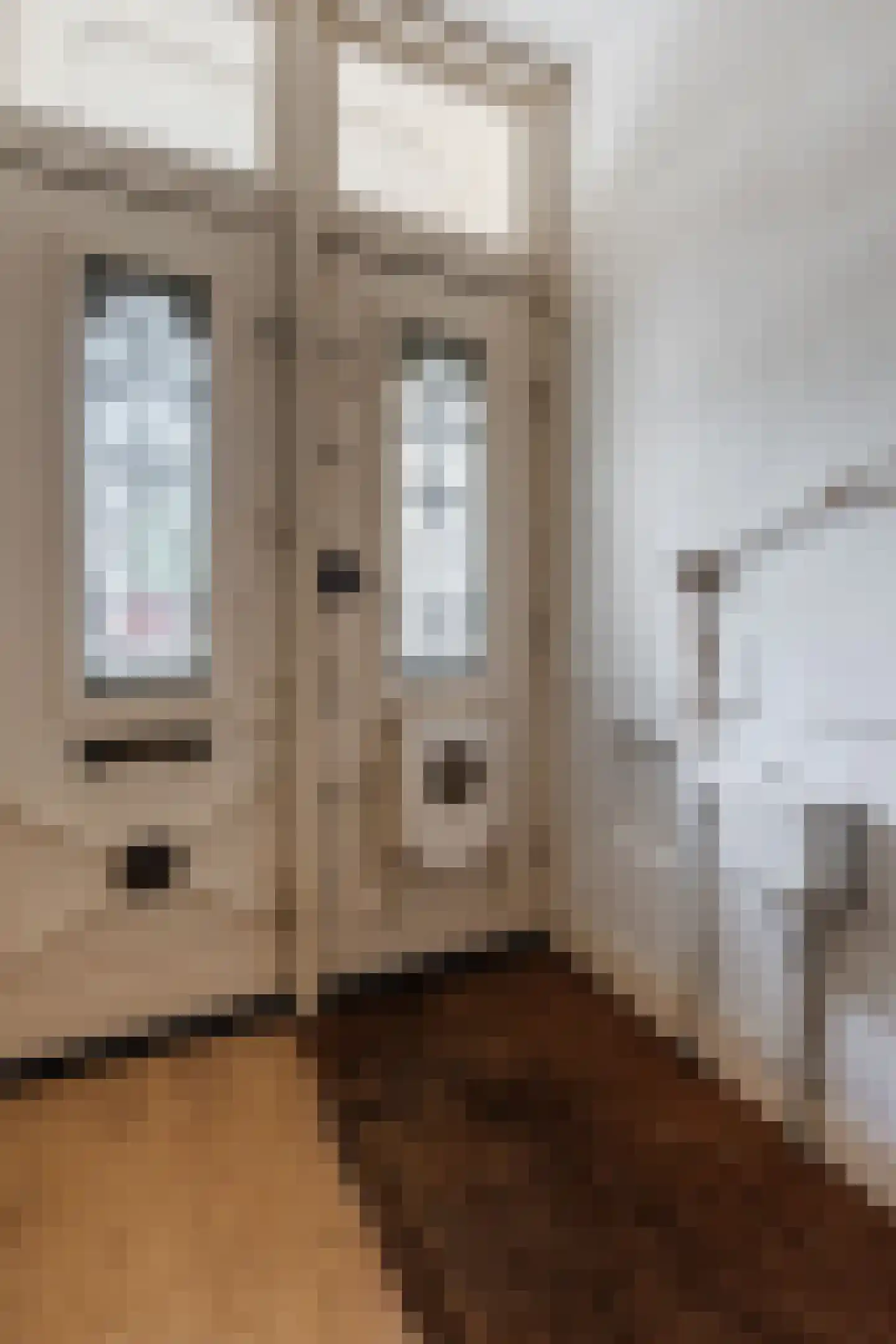 Herengracht 302 Amsterdam thumbnail 8