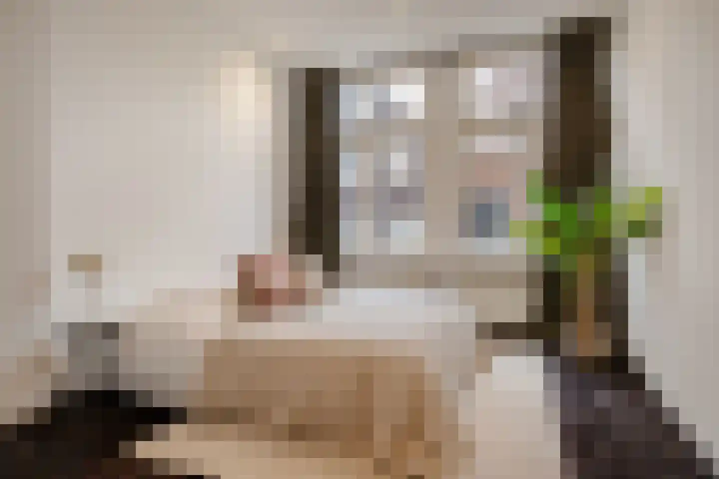 Herengracht 303 B Amsterdam thumbnail 15