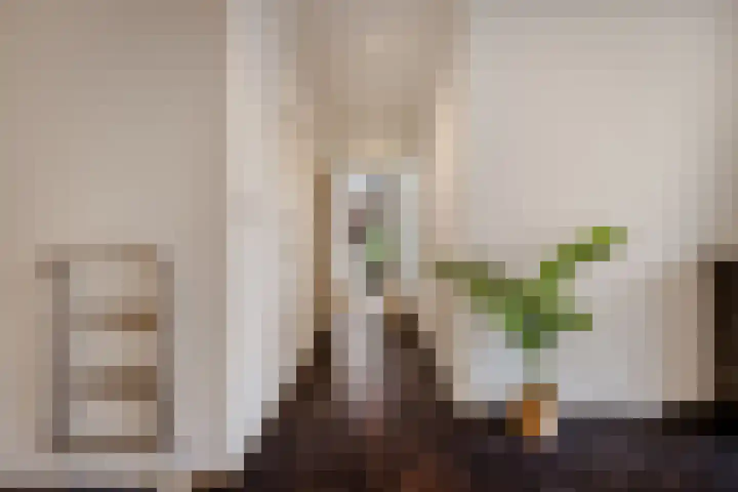 Herengracht 303 B Amsterdam thumbnail 19