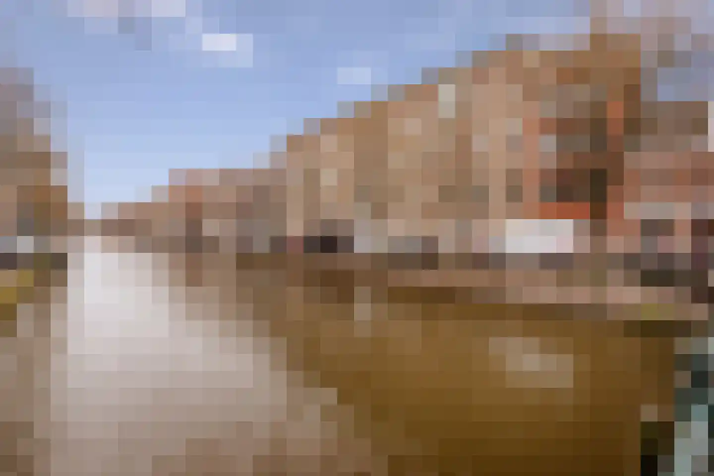 Herengracht 303 B Amsterdam thumbnail 20