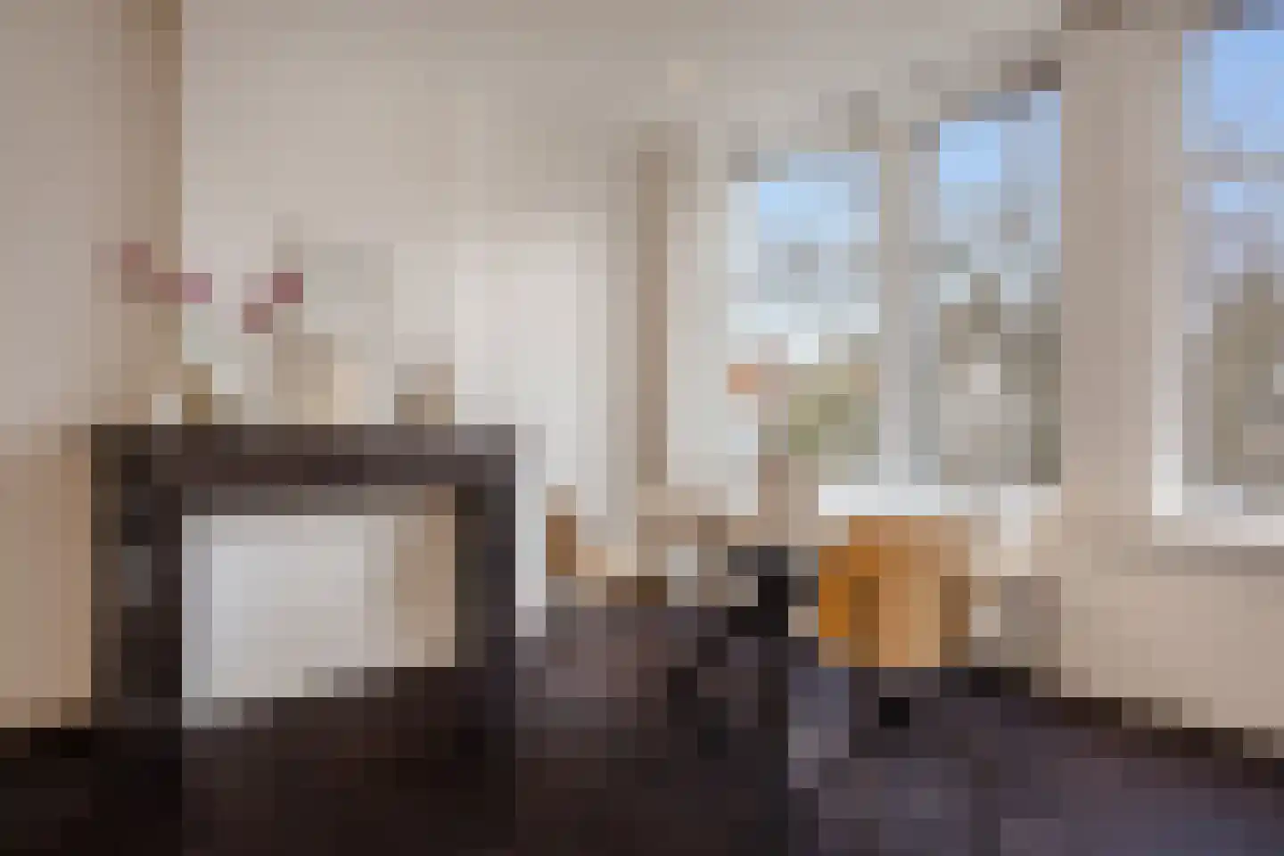 Herengracht 303 B Amsterdam thumbnail 7