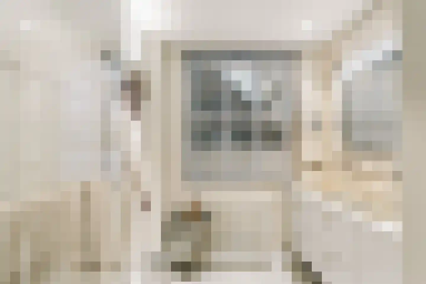 Herengracht 304 Amsterdam thumbnail 29