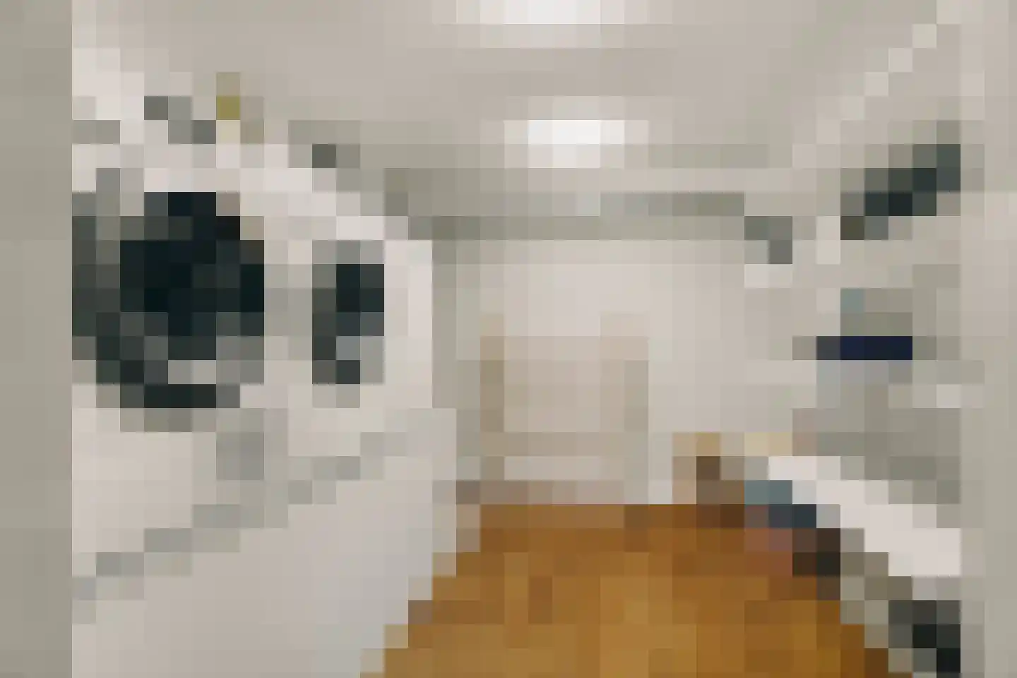 Herengracht 304 Amsterdam thumbnail 39