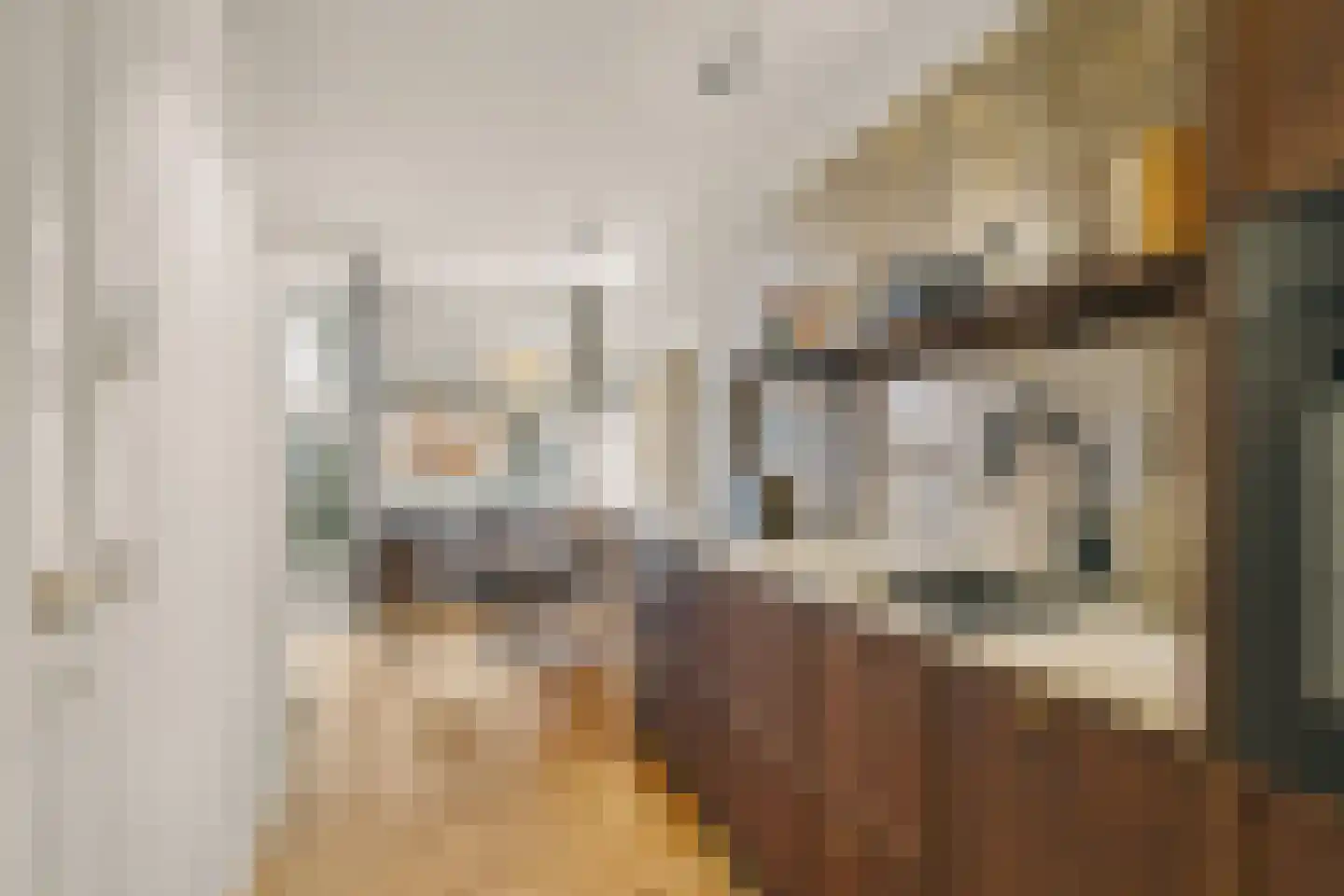 Herengracht 304 Amsterdam thumbnail 8