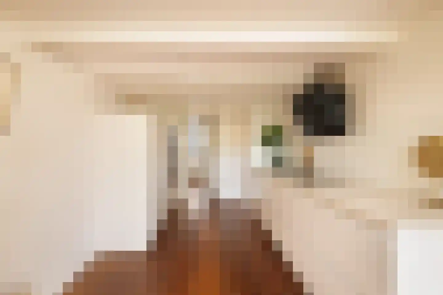 Herengracht 310 F Amsterdam thumbnail 16