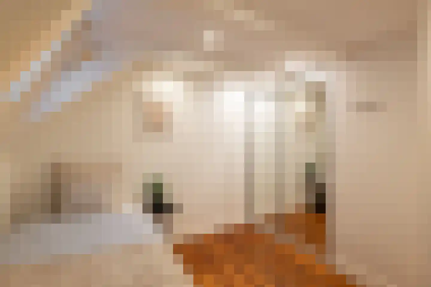 Herengracht 310 F Amsterdam thumbnail 21