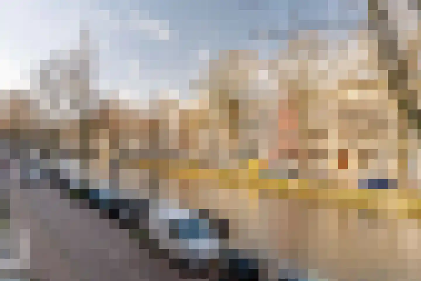 Herengracht 323 1 Amsterdam thumbnail 17
