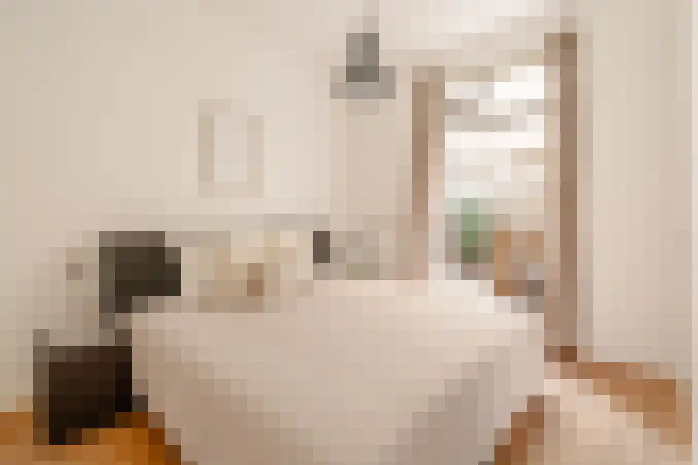 Herengracht 323 1 Amsterdam thumbnail 9