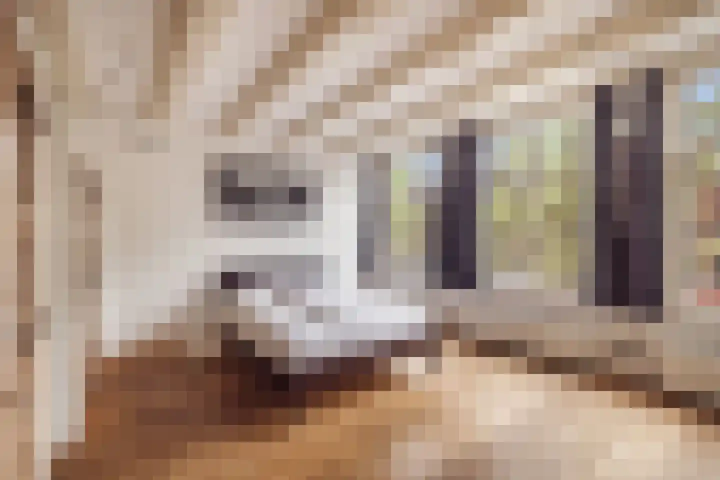 Herengracht 331 Amsterdam thumbnail 18