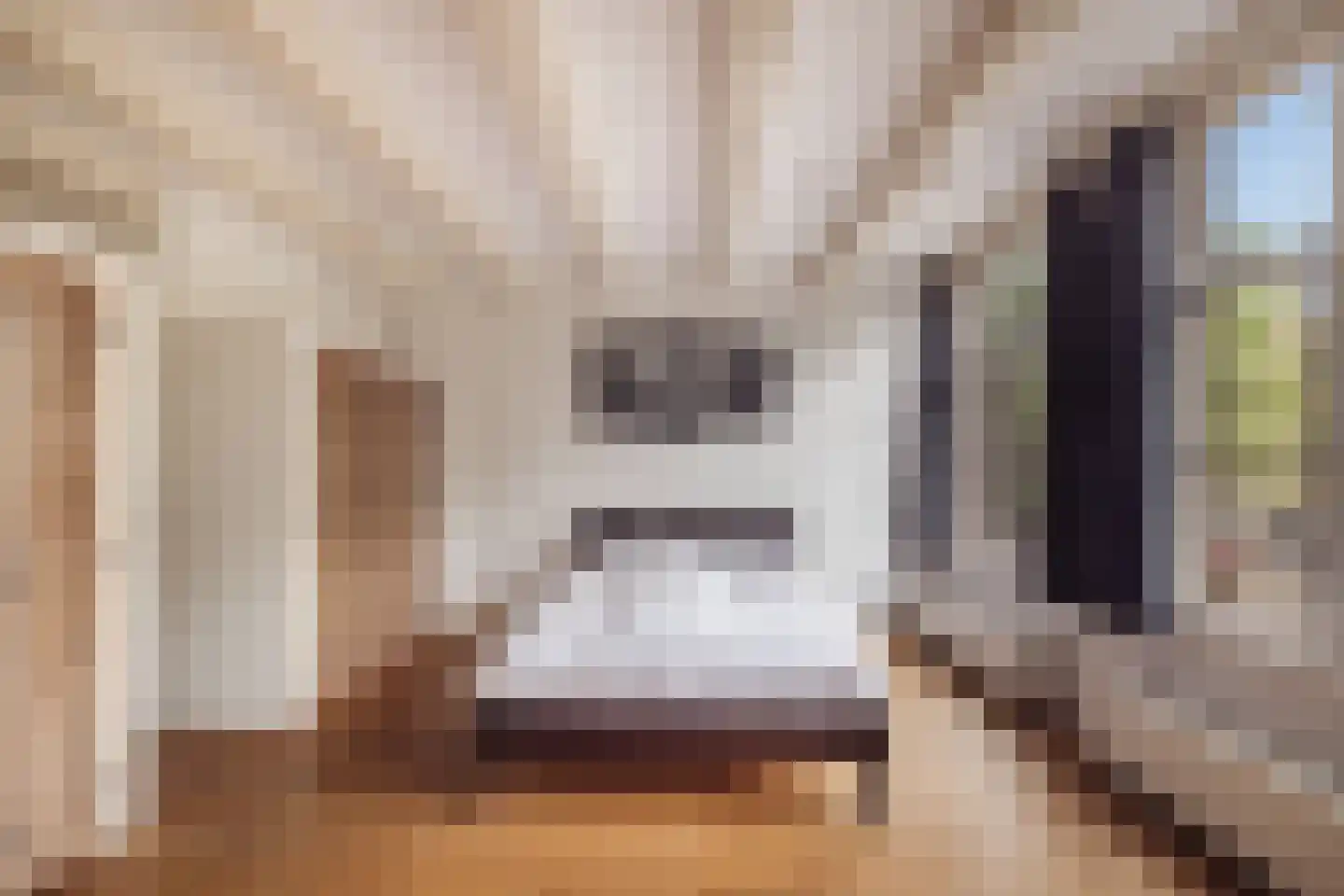 Herengracht 331 Amsterdam thumbnail 20