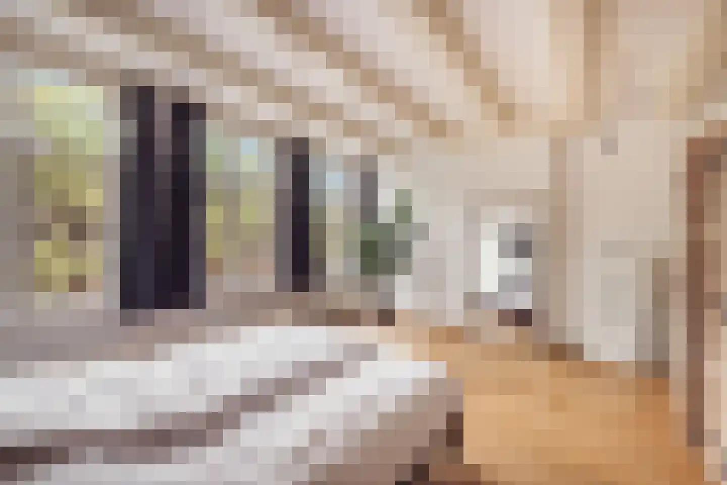 Herengracht 331 Amsterdam thumbnail 21