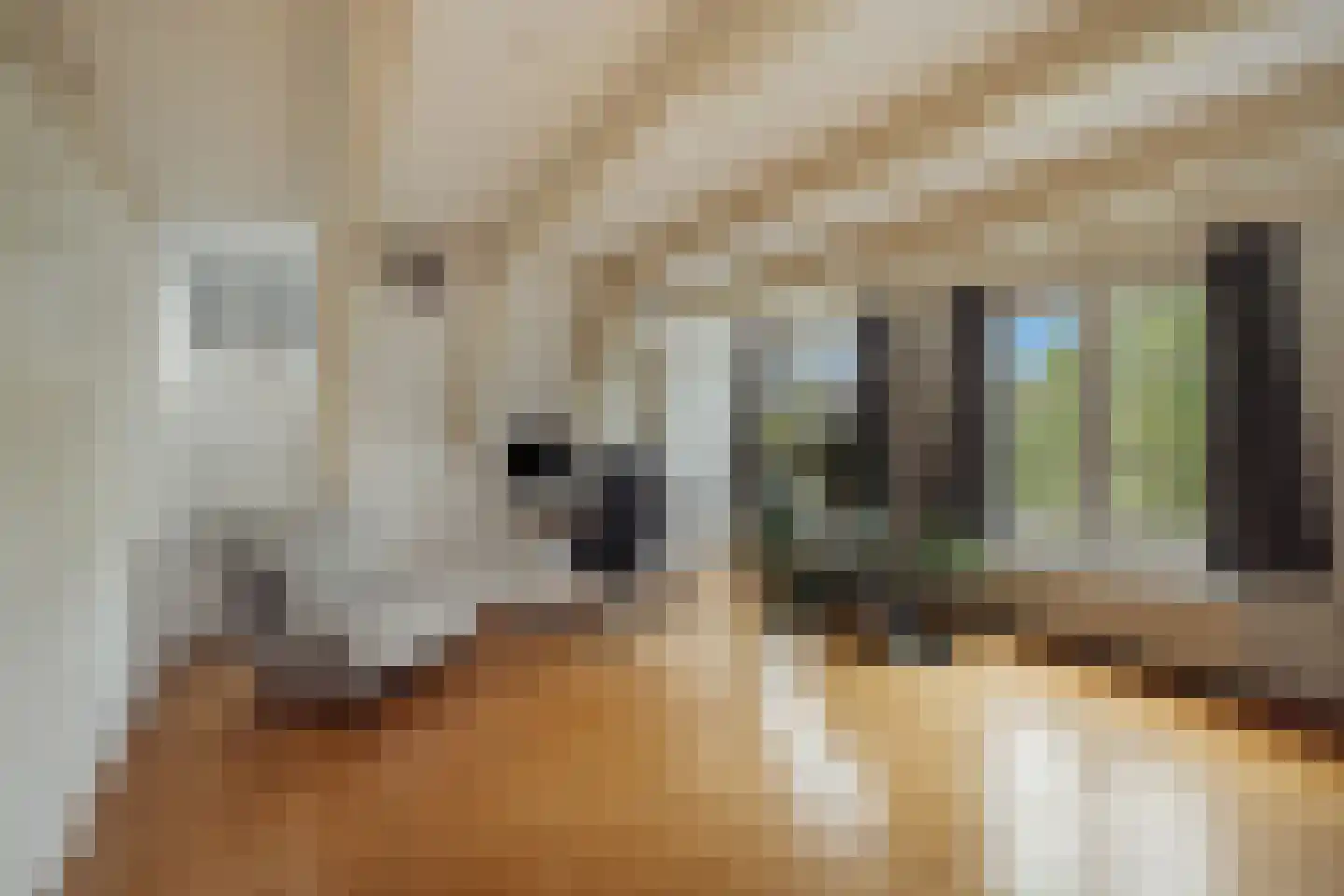 Herengracht 331 Amsterdam thumbnail 39