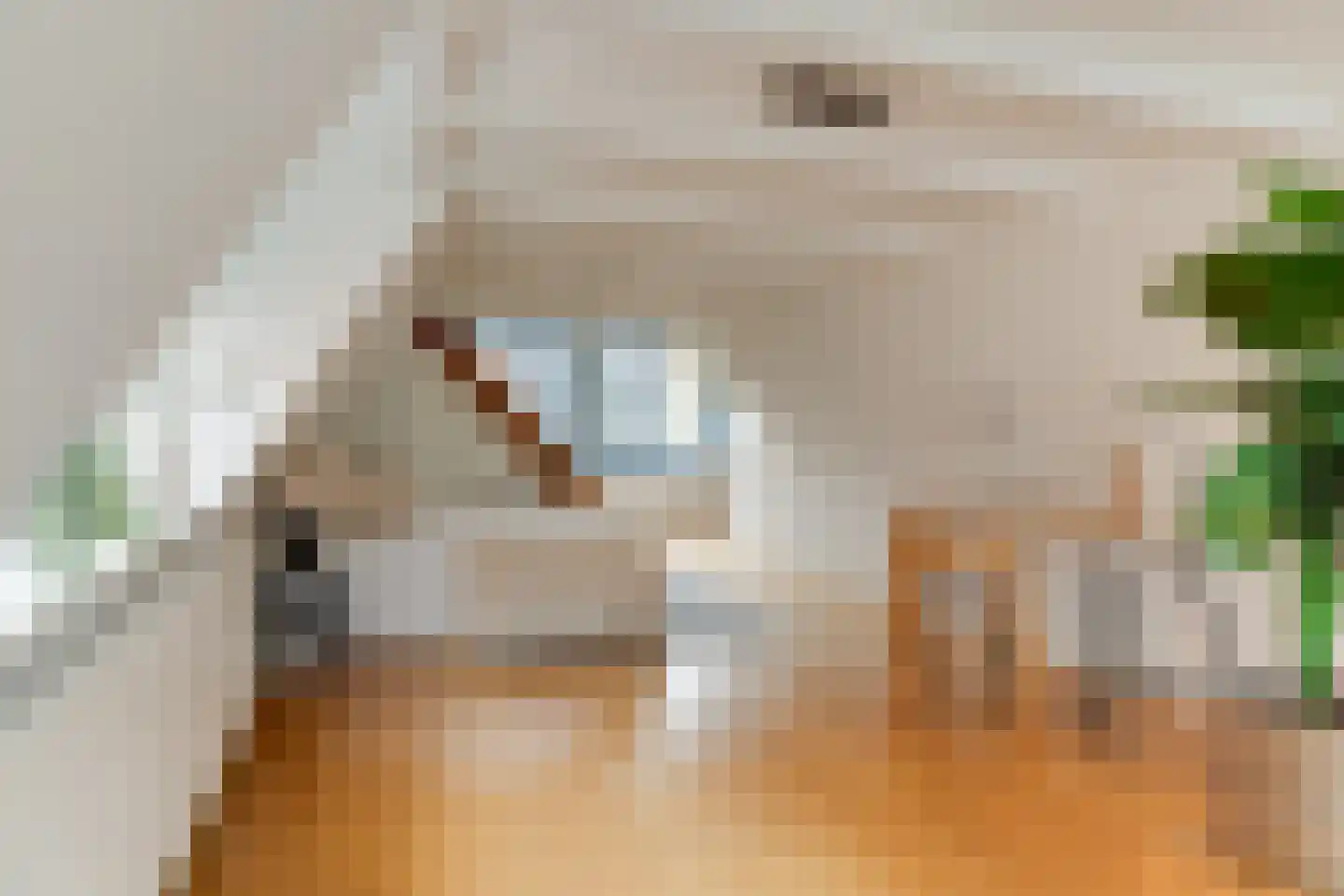 Herengracht 348 Amsterdam thumbnail 30