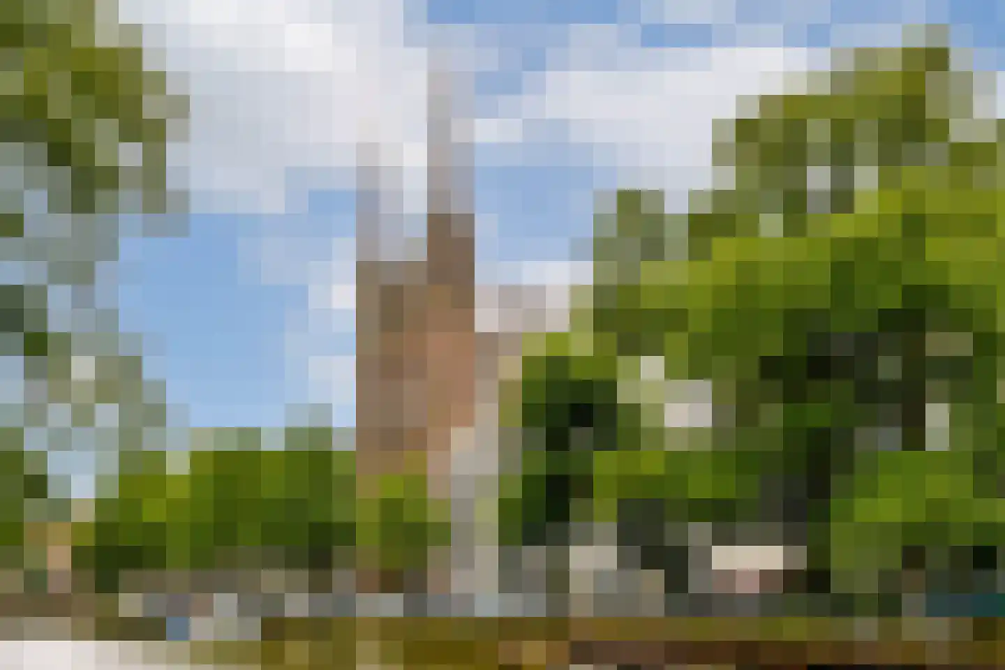 Herengracht 348 Amsterdam thumbnail 48