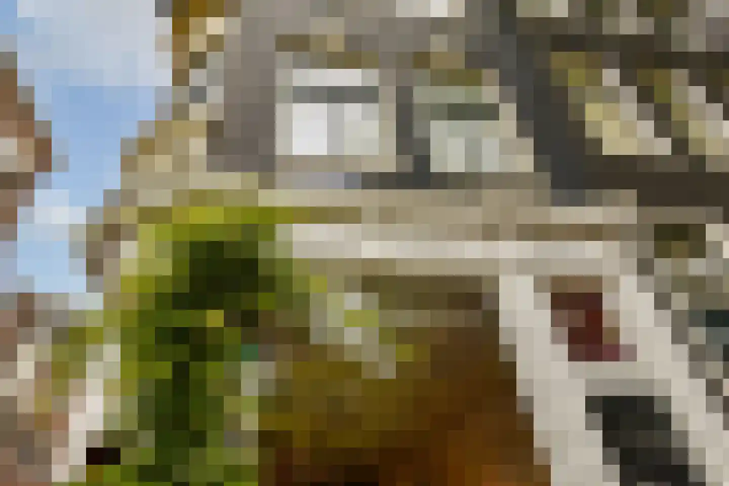 Herengracht 348 Amsterdam thumbnail 49