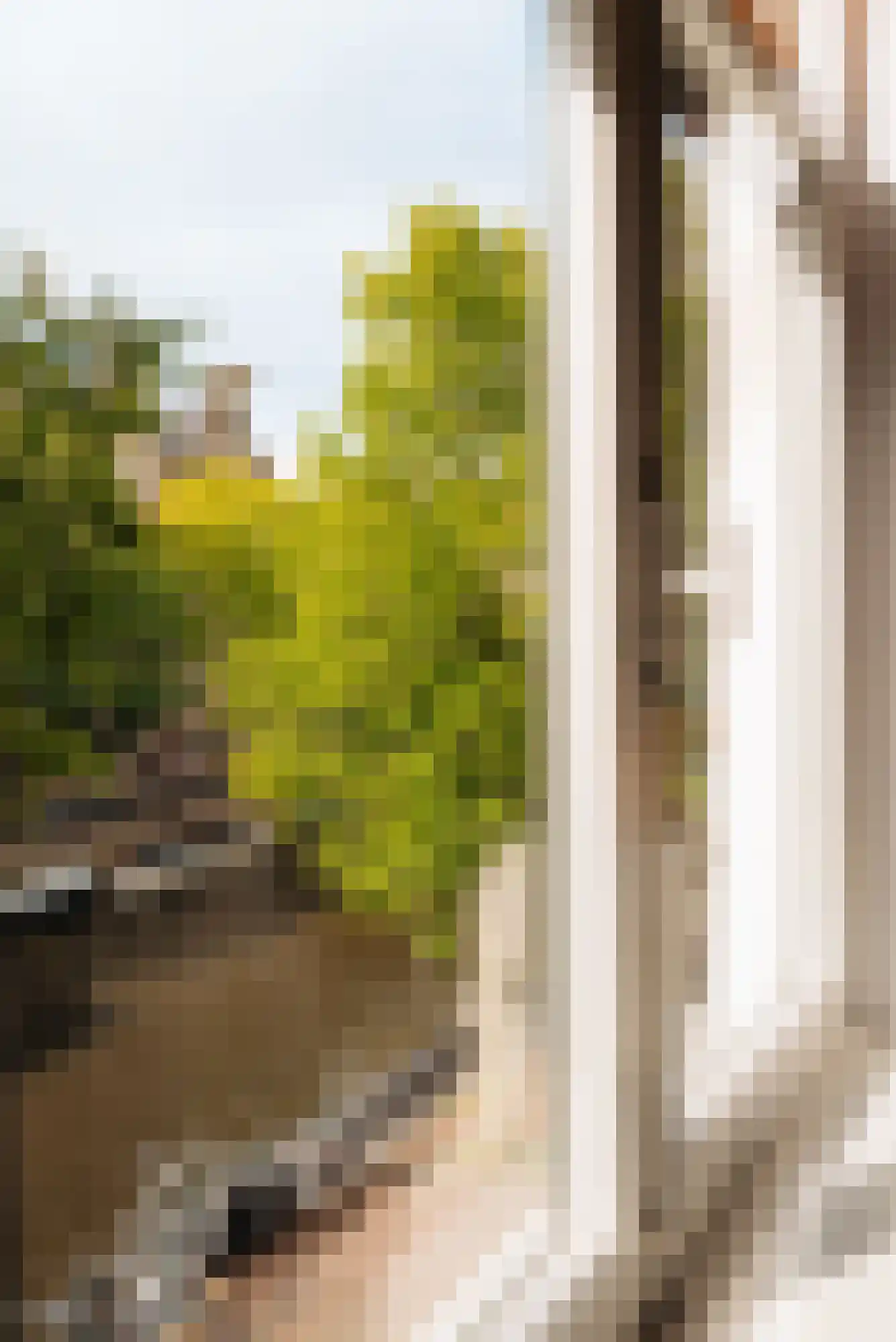 Herengracht 397 2 Amsterdam thumbnail 31