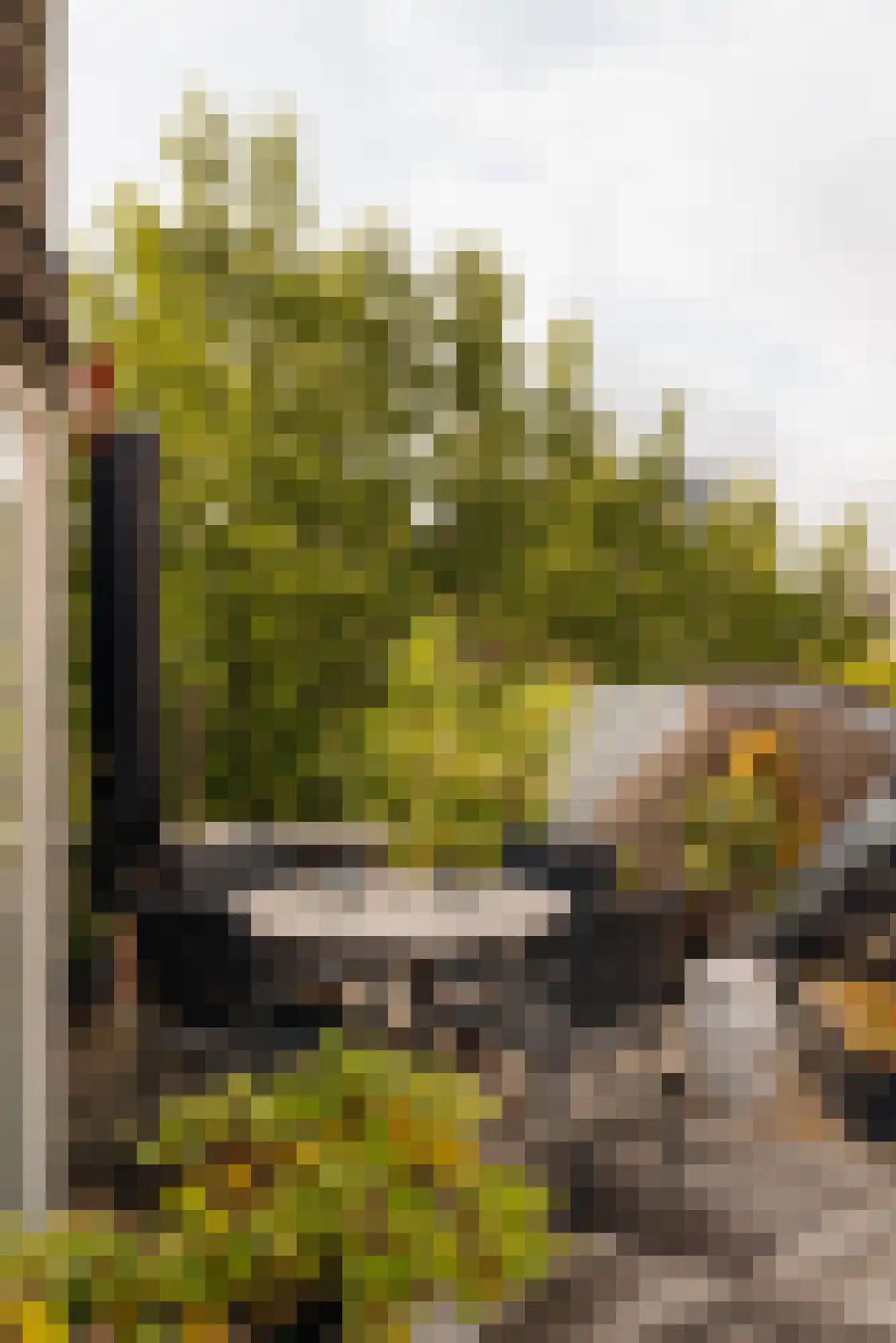 Herengracht 397 2 Amsterdam thumbnail 42