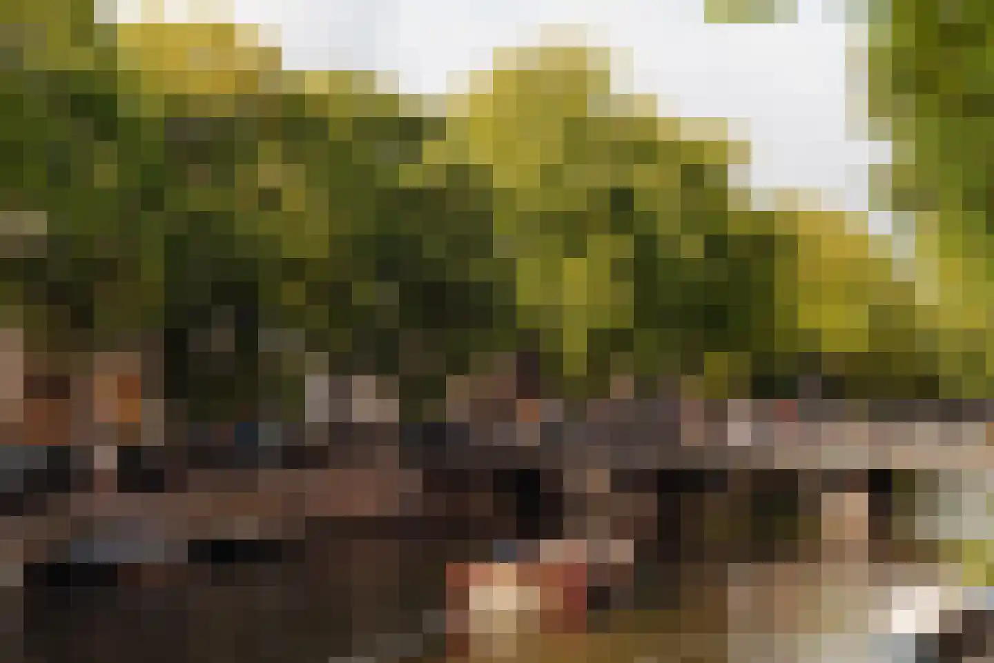 Herengracht 397 2 Amsterdam thumbnail 51