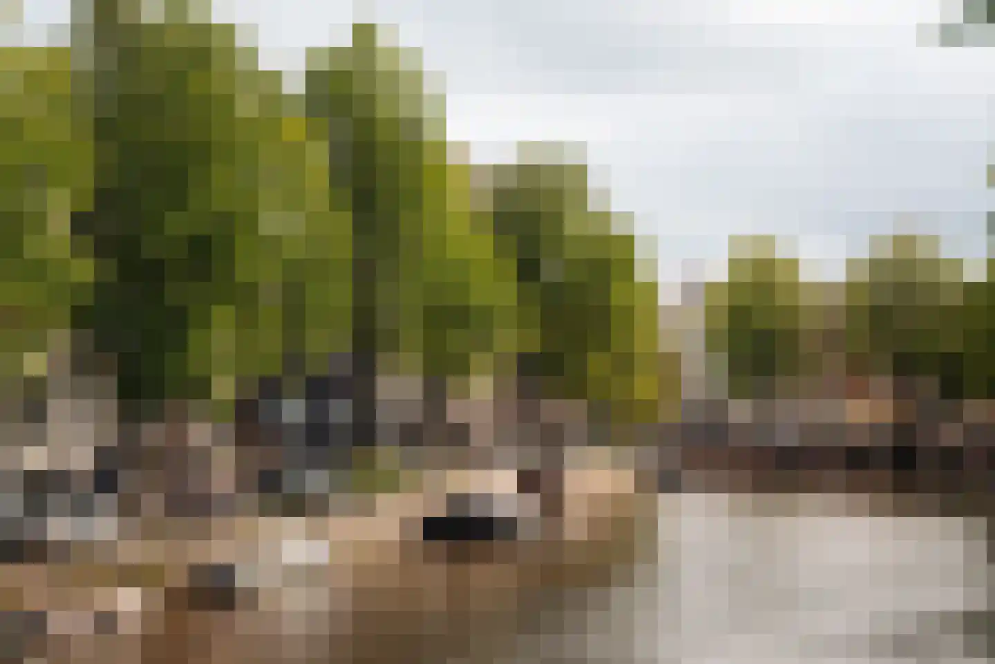 Herengracht 397 2 Amsterdam thumbnail 52