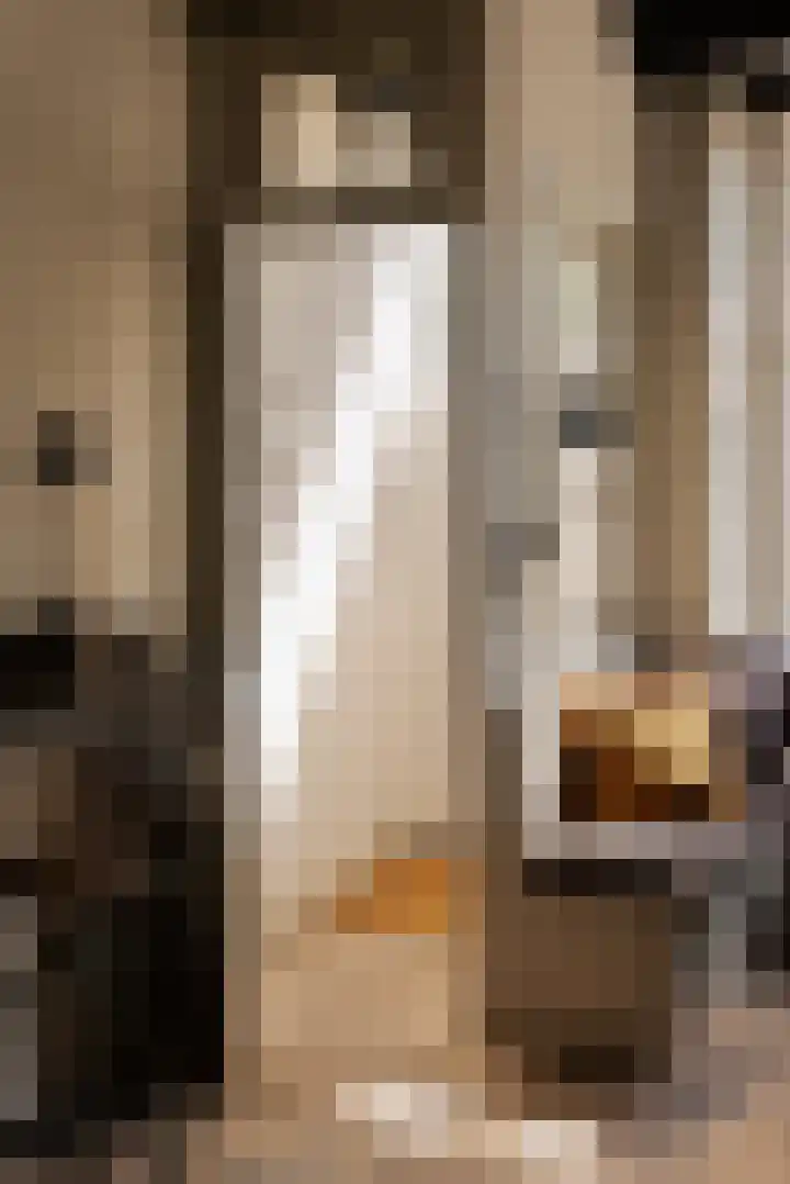 Herengracht 405 Amsterdam thumbnail 7