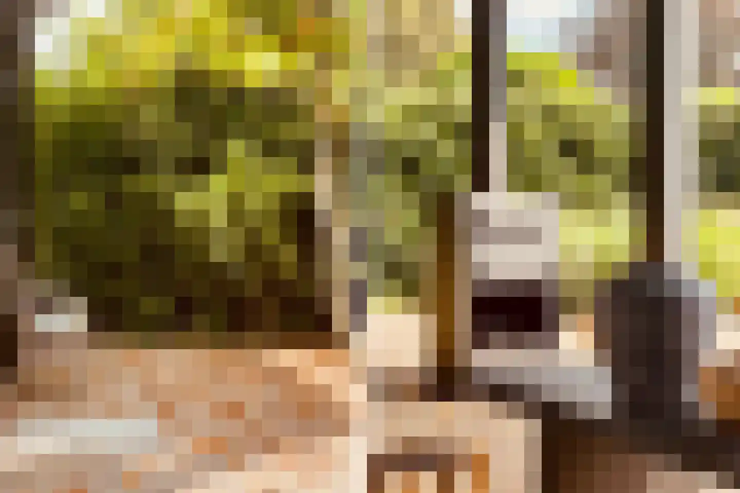 Herengracht 42 Drimmelen thumbnail 10
