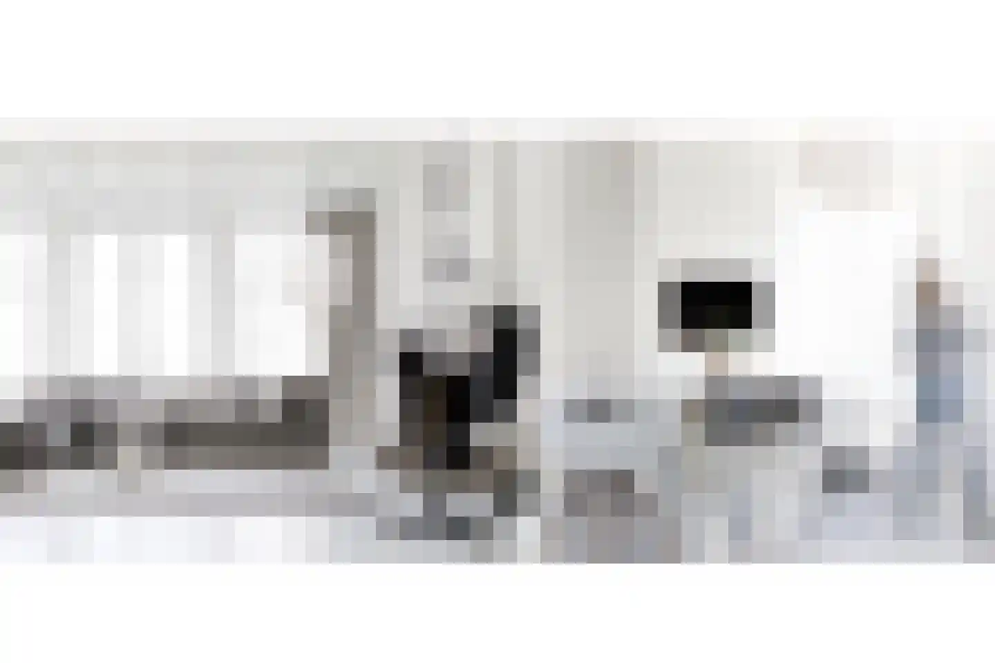 Herengracht 42 Drimmelen thumbnail 32