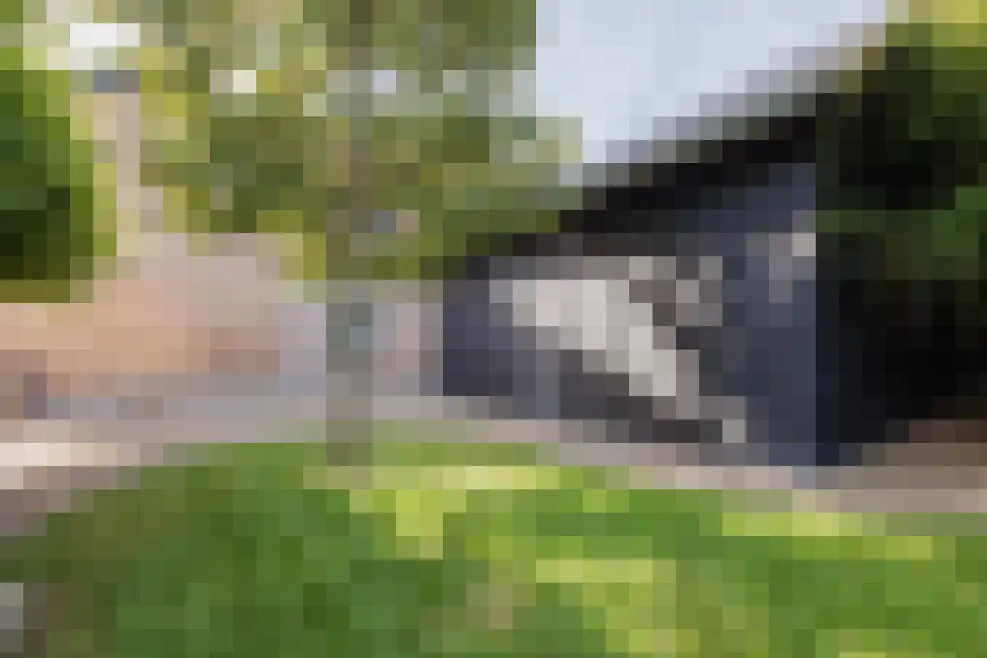 Herengracht 42 Drimmelen thumbnail 34