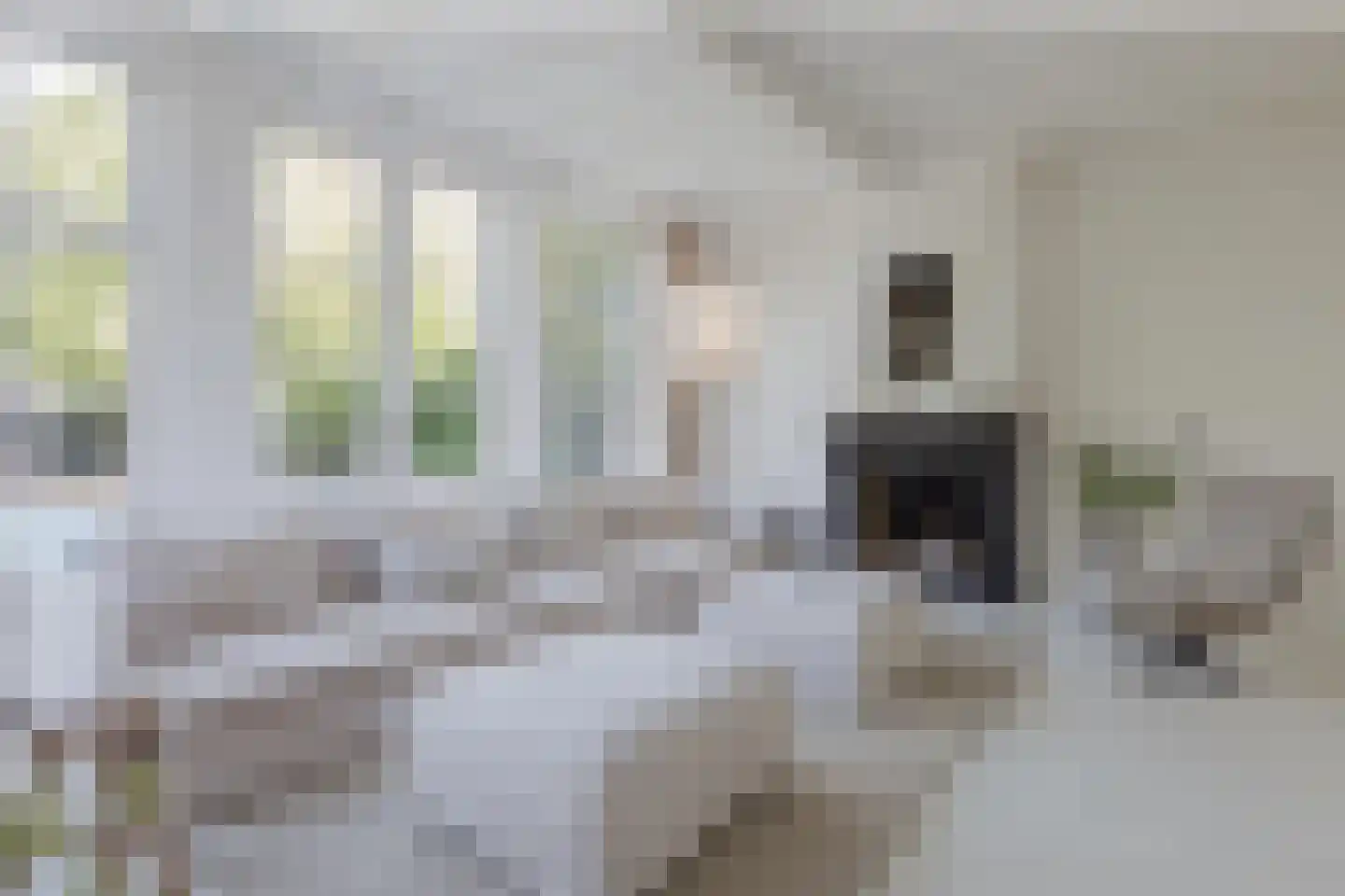 Herengracht 42 Drimmelen thumbnail 4