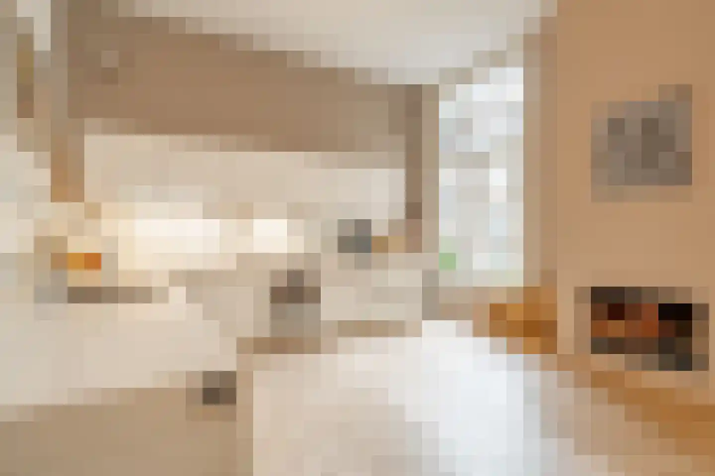 Herengracht 423 Amsterdam thumbnail 15