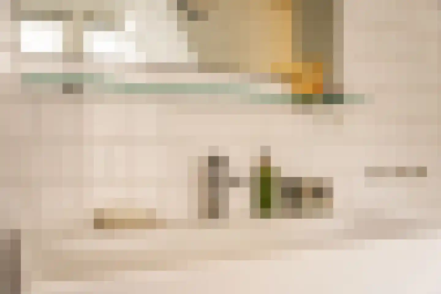 Herengracht 423 Amsterdam thumbnail 39