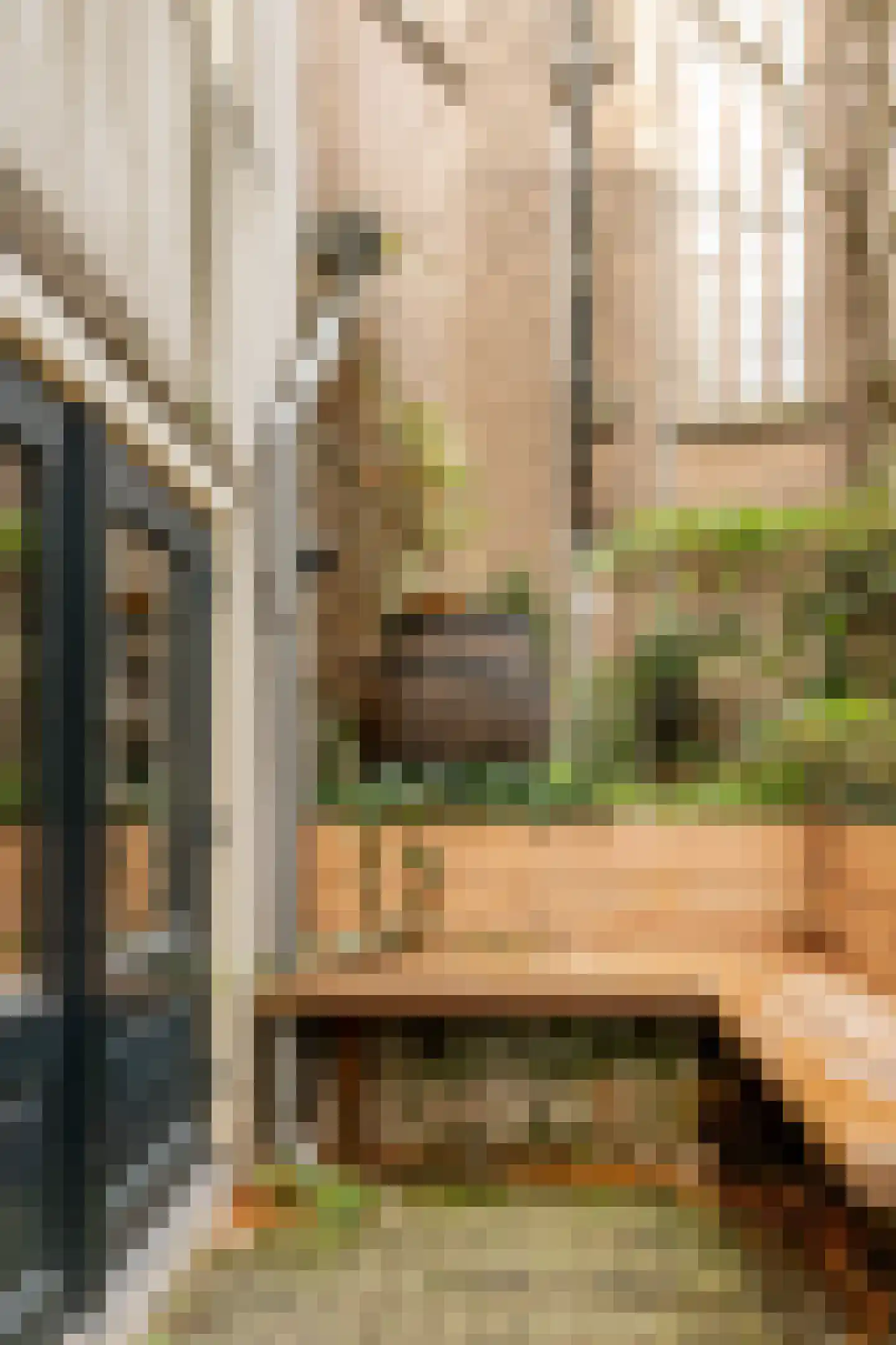 Herengracht 423 Amsterdam thumbnail 47