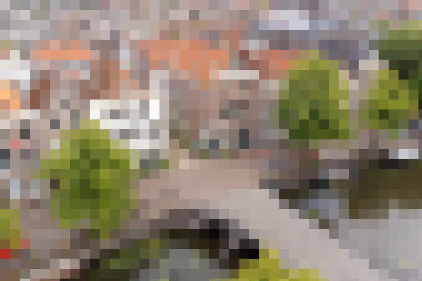 Herengracht 45 B Leiden thumbnail 4