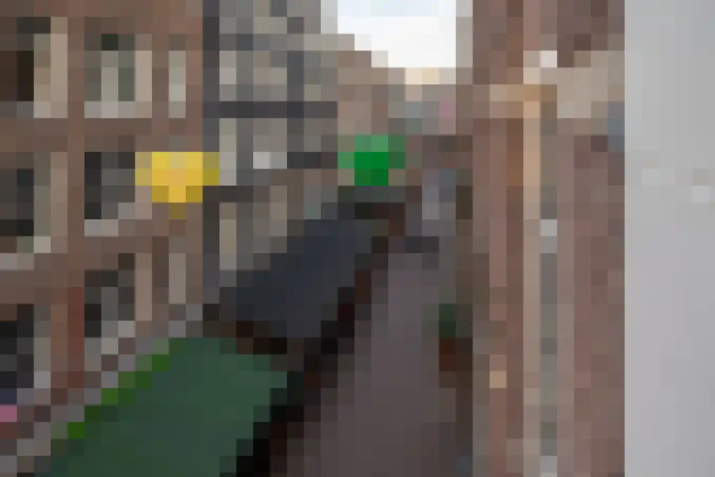 Herengracht 455 C Amsterdam thumbnail 19