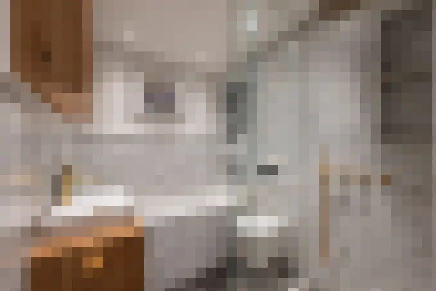Herengracht 455 C Amsterdam thumbnail 25