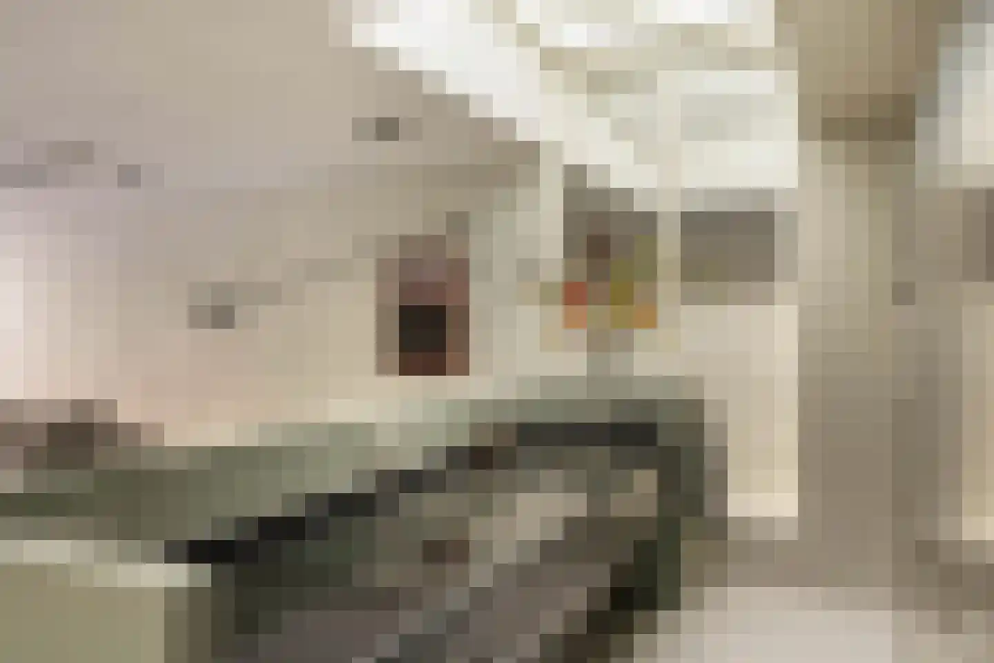 Herengracht 47 H Amsterdam thumbnail 11
