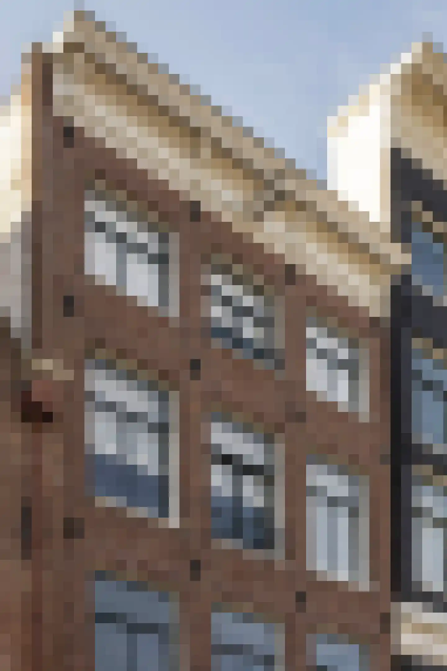 Herengracht 47 H Amsterdam thumbnail 20