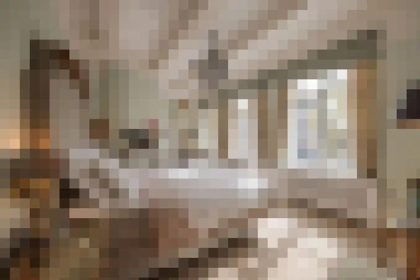 Herengracht 485 Amsterdam thumbnail 19