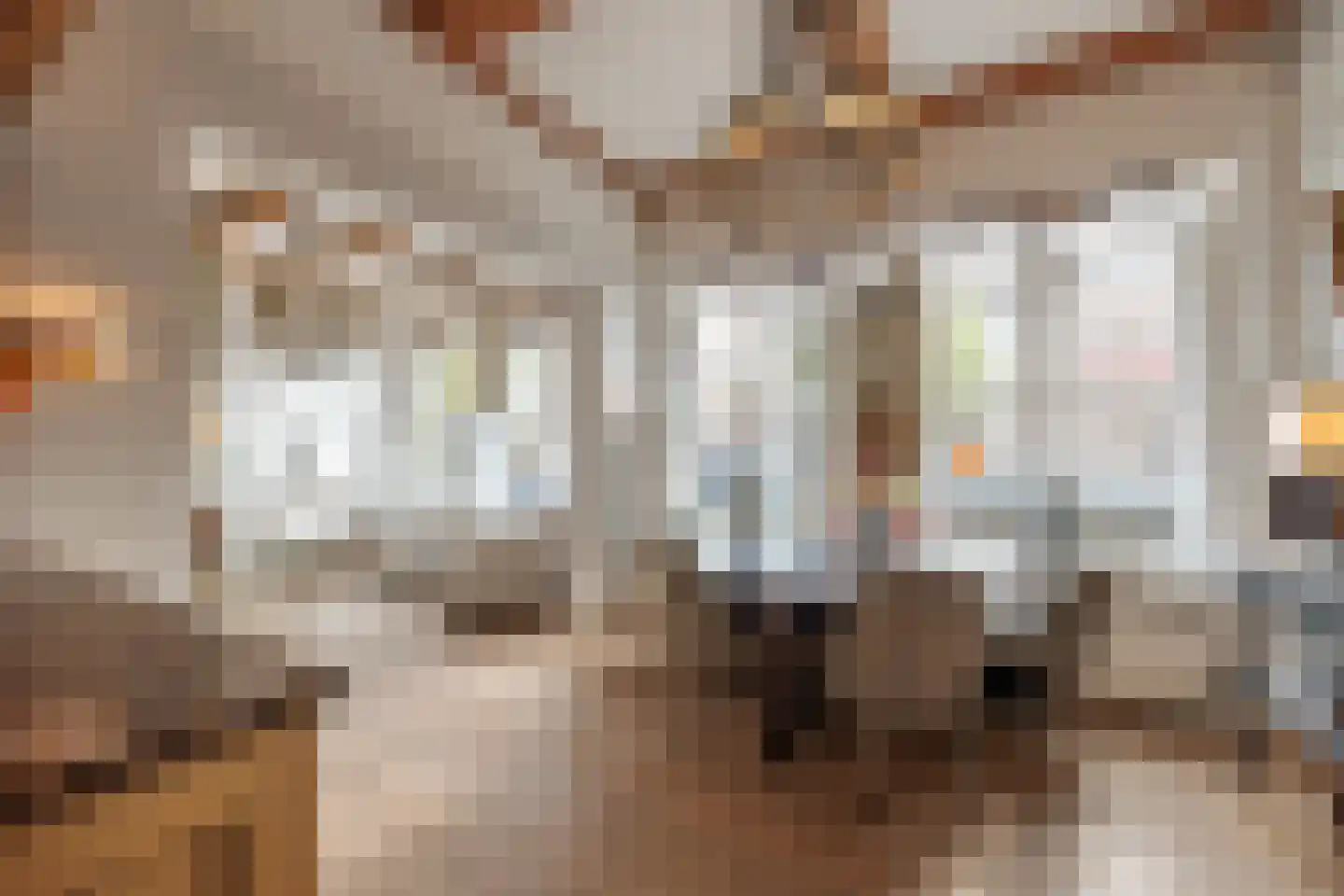 Herengracht 485 Amsterdam thumbnail 4